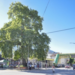 Cinari_19072022003
