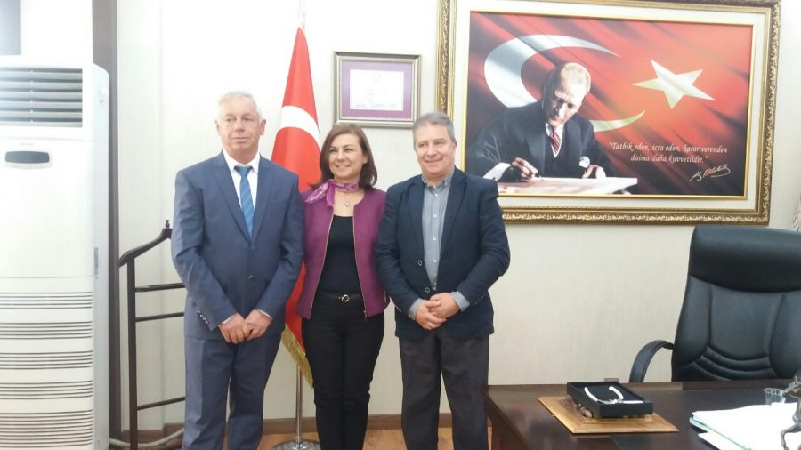 SAFRANBULU_05062019002