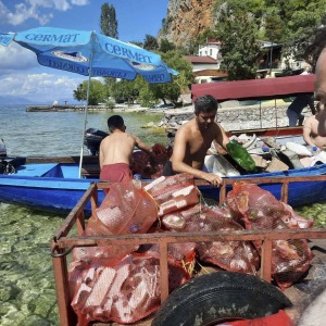 Cistenje_Ezero_12092022005