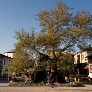 Galerija_Ohrid_01022022030