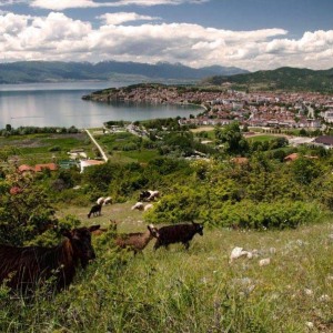 Galerija_Ohrid_01022022065