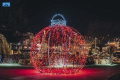 Nova_Godina_2022_20211224006