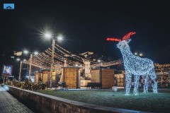 Nova_Godina_2022_20211224017