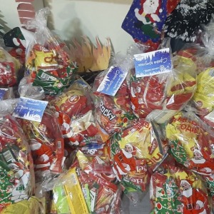 Novogodisni_paketcina_28122022005