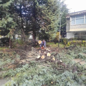 80e42e2f-296e-406b-871f-9b144fa3a102