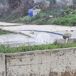 c7a01d10-af5c-4ac3-b8b3-978087a11416